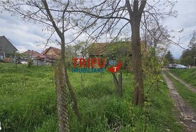 Casă cu 2 camere cu Teren 3101 Mp în Galda de Jos - 4