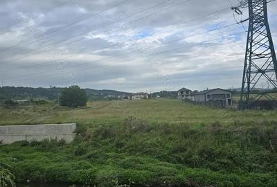 Teren extravilan de vanzare 5100mp in Suceava zona Suhat - 4