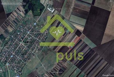 ? Teren extravilan la Pesac de 3,4 ha (1,4 euro/mp)? - 3