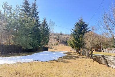 Teren Construcții intravilan de 2300 mp, în Valea Doftanei - 3