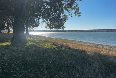 Spațiu comercial, în Salcia - 1