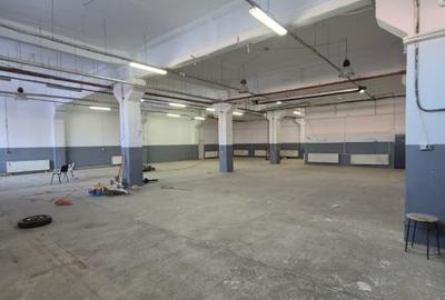 Spațiu industrial, de 3,700 mp, în Theodor Pallady - 2