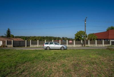 BRANESTI, TEREN 1400 MP, DESCHIDERE 32 MP, VEDERE LA LAC! - 18