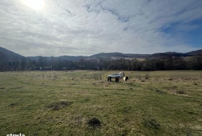 Teren de 2000 mp, în Eremitu - 3