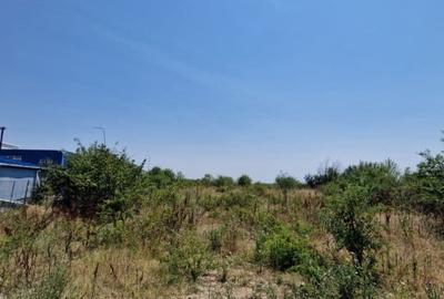 De Vanzare! Teren cu toate utilitatile la centura - 4