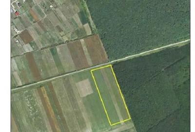 Spațiu comercial, în Moara Vlăsiei - 1