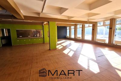 Spatiu comercial 140 mp zona Aria Turnisor - 2