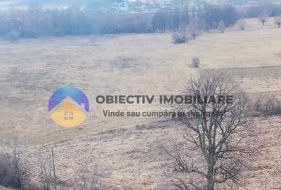 Teren Construcții intravilan de 3035 mp, în Bodești - 5