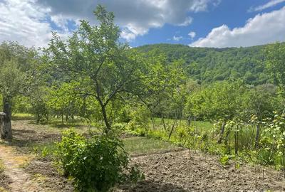 Vand casa + teren 2690 mp - 2