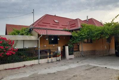 Casă cu 2 camere cu Teren 1500 Mp în Central - 2