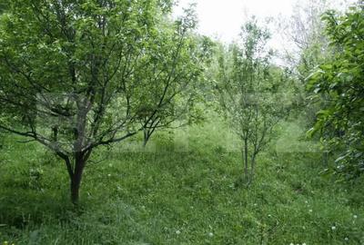 Teren în Central - 7