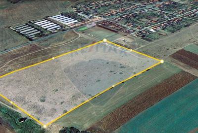 Teren extravilan Alunis-Arad. 92.700 mp Inchiriere pt parc fotovoltaic - 2