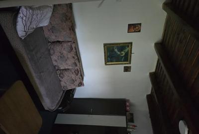Casă cu 3 camere cu Teren 2700 Mp în Ciurari - 8