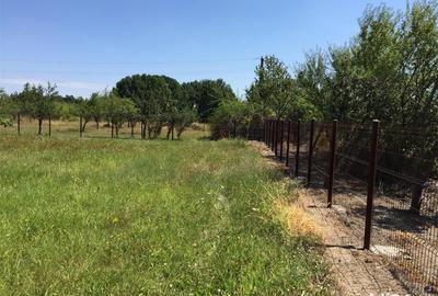 Casă cu 3 camere cu Teren 4500 Mp în Uda - 2