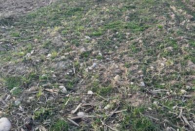 Spațiu comercial, în Orlat - 4