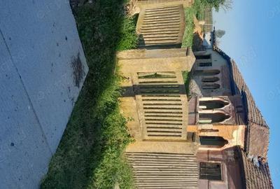 Casă cu 3 camere în Băbiciu - 1