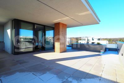 Penthouse cu 5 camere decomandat, mobilat în Băneasa - 23