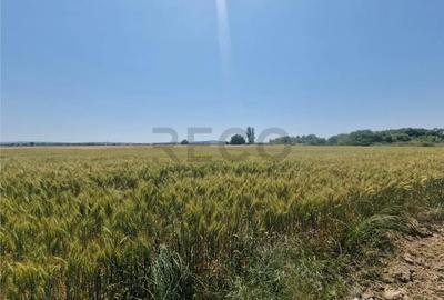 Teren de 4110 mp, în Fughiu - 2