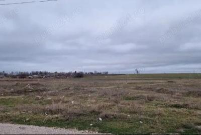 Teren de 3000 mp, în Central - 2