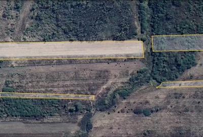 Teren de 28300 mp, în Gavojdia - 3