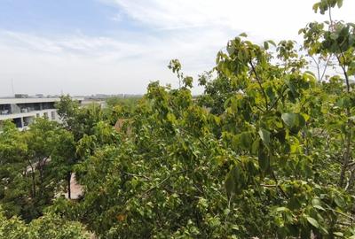 REA1026130 Iancu Nicolae Apartament 3 Camere - 8