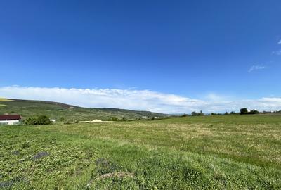 Teren Valea Chintaului / Cluj 5.547mp  parcelabil - 5