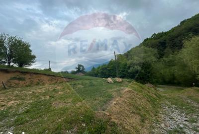 Teren de 2000 mp, în Copalnic - 9
