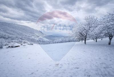 De vânzare două terenuri intravilane în Inuri ,DJ 705C - 2