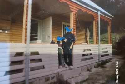 Lepsa Vrancea ,zona retrasa linistita si sigura,cabana si teren de vanzare - 2