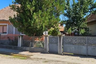Casă cu 4 camere cu Teren 1013 Mp în Sâncel - 2