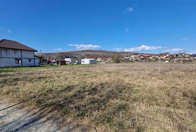 BUDESTI - TEREN 2550 MP - 4