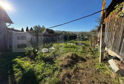 Casa cu suflet in Blaj un loc unde timpul a stat in loc Casa cu suflet in Blaj un loc unde timpul a stat in loc - 3