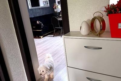 Apartament cu 2 camere semidecomandat, mobilat în Giroc - 3