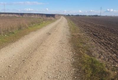 Teren intravilan 16.608 mp – 1 Decembrie, Ilfov | Deschidere 60 mp - 3