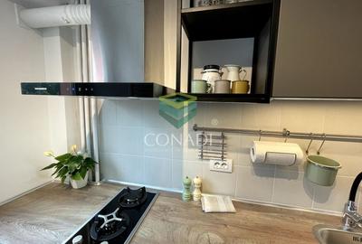 Garsoniera renovata modern str Nada Florilor - Teiul Domnei - 36