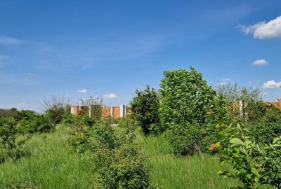 Spațiu comercial, în Cozieni - 6