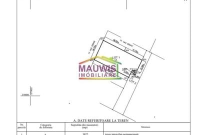 Cornetu  Strada Stejarului - 8