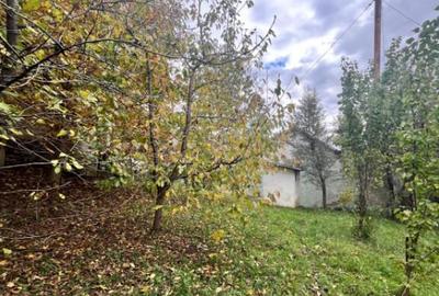 Spatiu comercial multifunctional, 1592 mp, Cacica (Pirtestii - 7