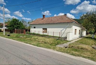 Casă cu Teren 2973 Mp în Șiria - 2