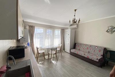 Apartament cu 2 camere decomandat, mobilat în Freidorf - 5