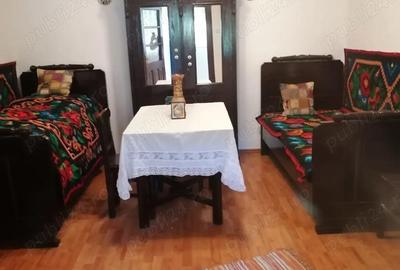 Casă cu 4 camere cu Teren 3400 Mp în Susag - 1