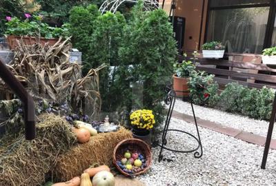 Casă cu 15 camere cu Teren 1380 Mp în Mehala - 4