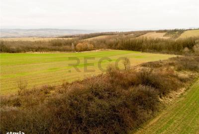 Spațiu comercial, în Ceica - 5