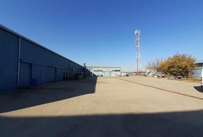 Birouri, hala si teren situate la sosea, zona Magurele, sector 5 - 32