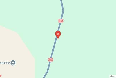 Teren agricol extravilan de 22000 mp, în Victor Vlad Delamarina - 1