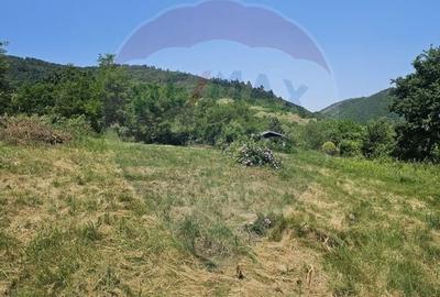 Teren  intravilan  de vanzare Oras  Saliste  Strada Livezii Jud. Sibiu - 2