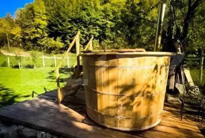 Casa de vacanta cu 4 camere,3300 mp teren,Valisoara - 2