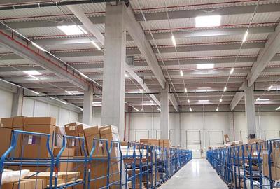 Spațiu comercial, de 500 mp, în Mogoșoaia - 1