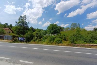 Resita, Terenuri Intravilane 2000 Mp., 28 Euro/Mp., Calea Ca - 3