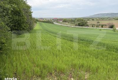 Teren de 12500 mp, în Bobota - 3